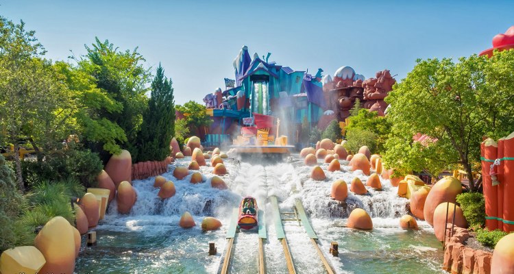 Fun in the Theme Parks in the US