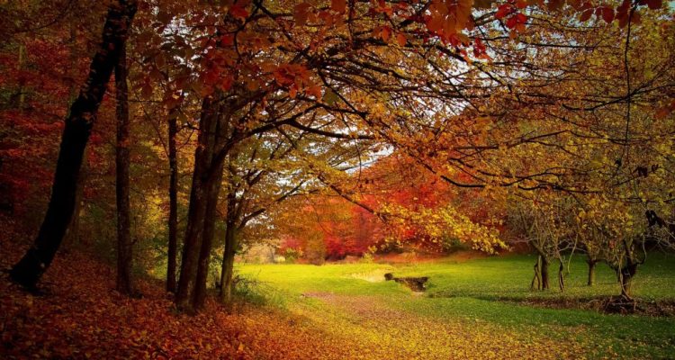 Incredibly Romantic Fall Getaways Couples Will Love