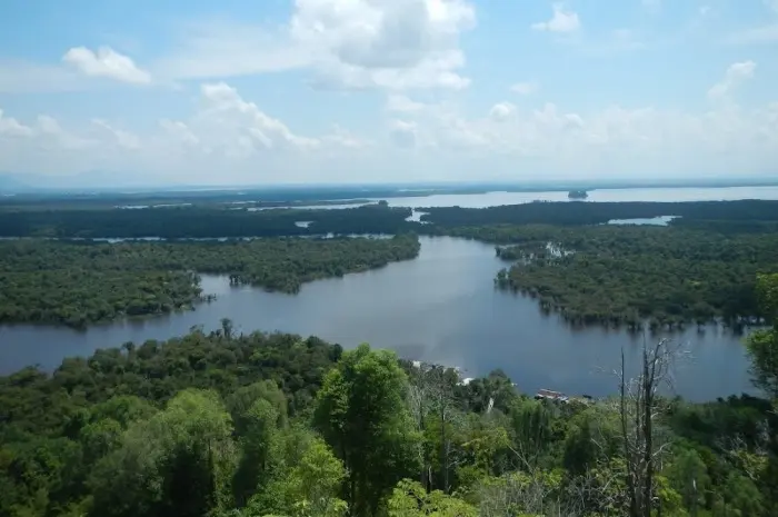 Exotic Lakes in Kalimantan