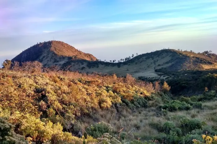 Haunted Mountains in Indonesia